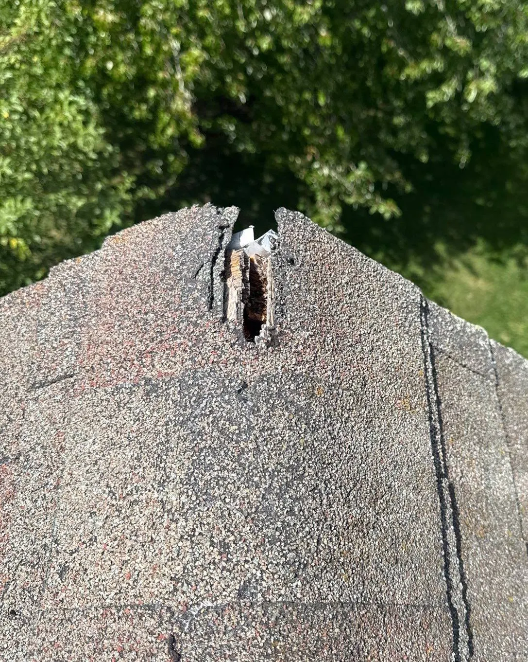 Split ridge cap shingle with exposed wood and a nail at the peak of a roof, from a Pujols Roof Health Report.