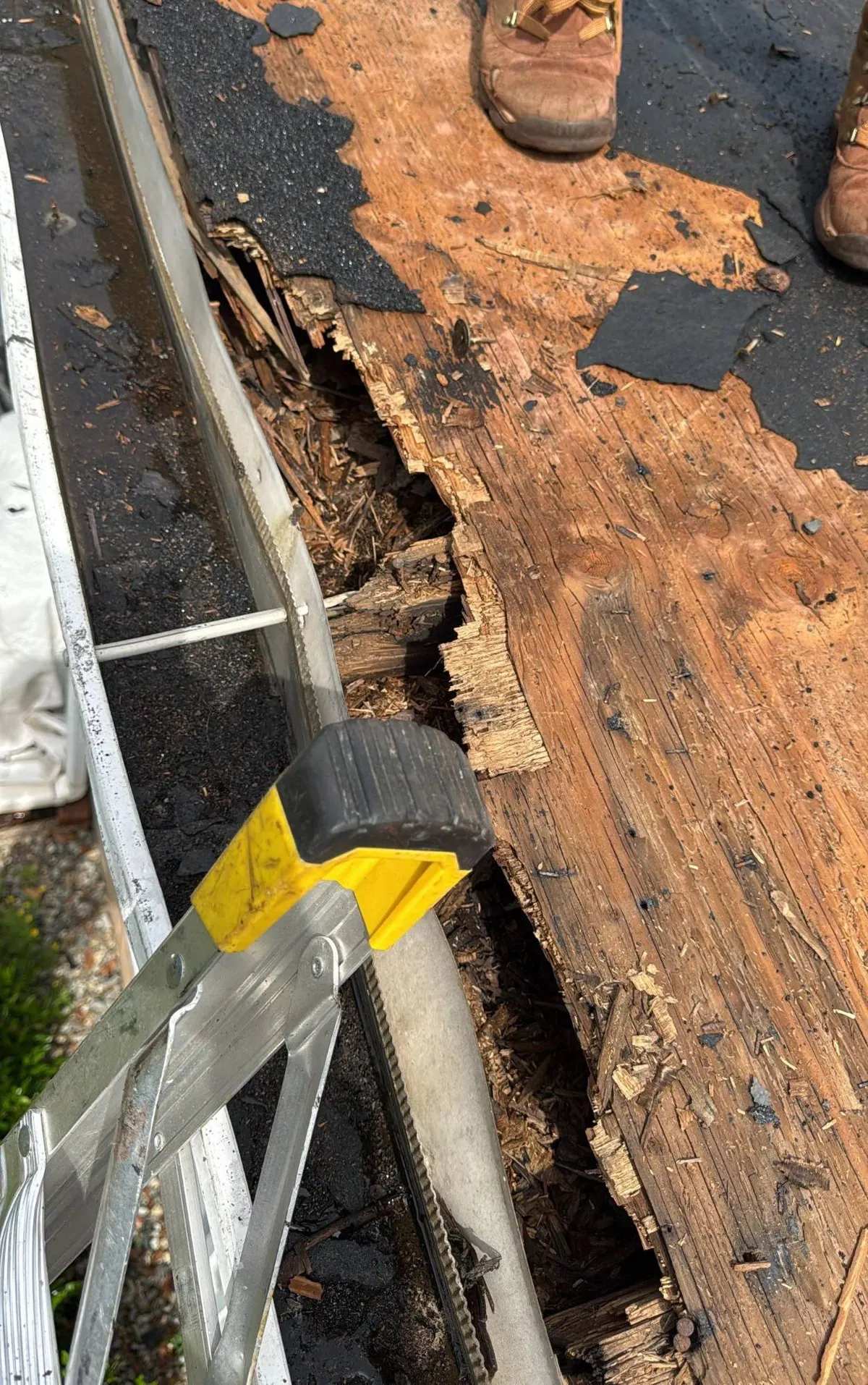Rotted, crumbling plywood at the roof edge, found once the old shingles came off a colonial in Montgomery, NJ, before new sheathing went on.